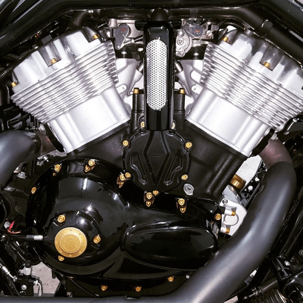 Motorschrauben Set - für Harley Davidson VRSC VROD Revolution