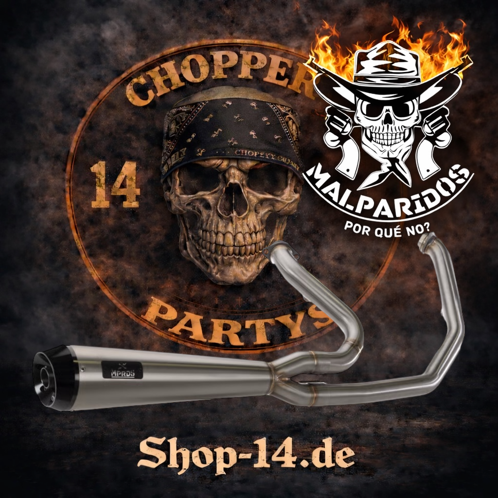 Malparidos 2-1 exhaust system in Titanium - für Harley Davidson M8 Softail - 2018 - 2024 EURO4 Euro5 Auspuffanlage ECE-Typgenehmigung