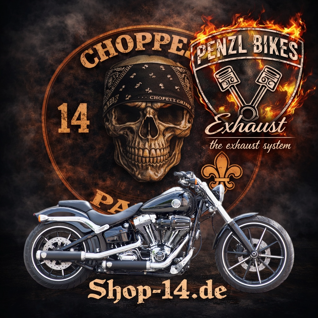 PENZL-AUSPUFFANLAGE-FUeR-Harley-Davidson-Softail-Rocker-C-FXCWC-Motor-TC96-Baujahr-2007-bis-2011-1