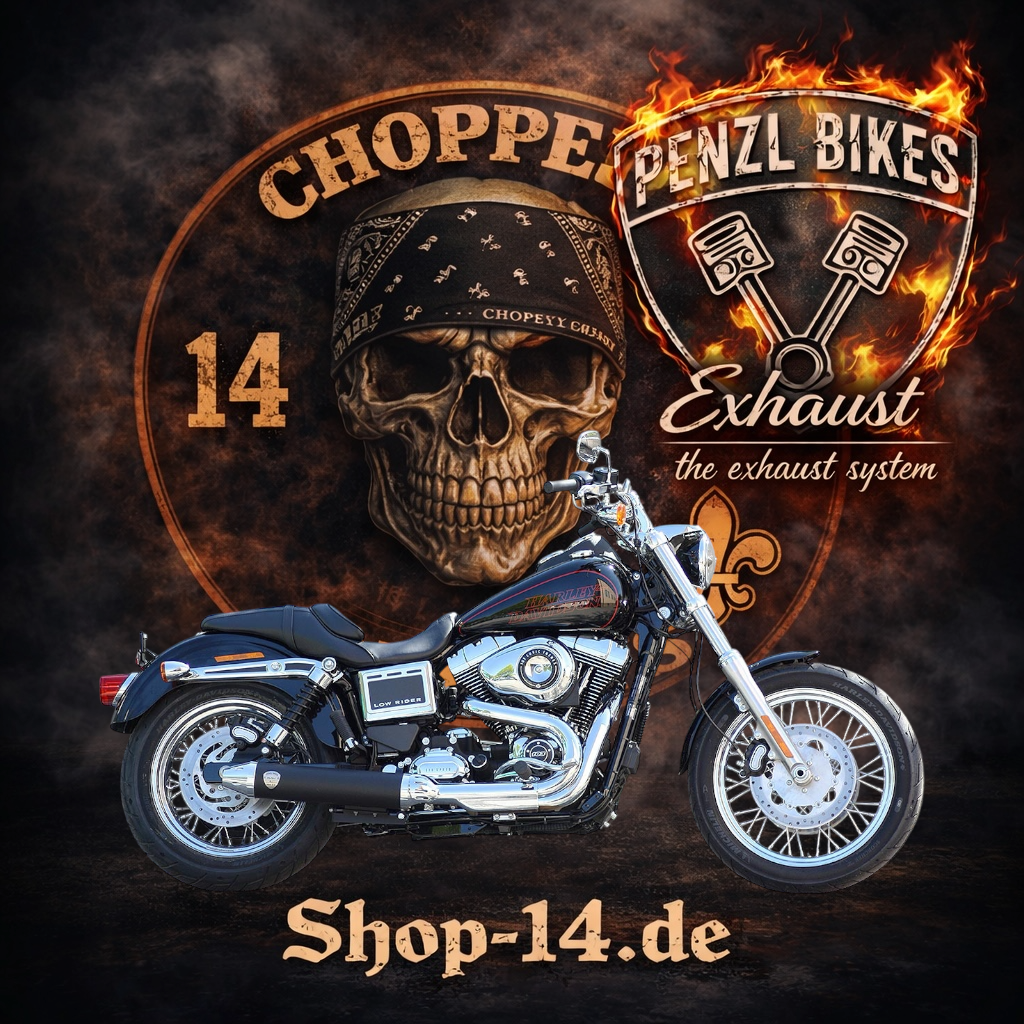 Penzl_auspuff_dyna_low-1