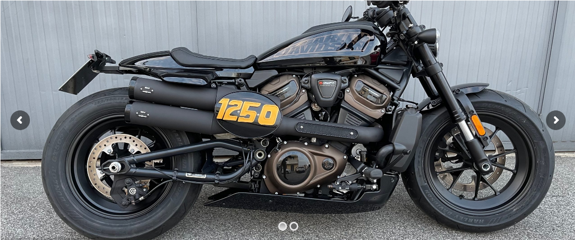 Screenshot-2021-12-10-at-01-54-35-SPORTSTER-S-1250-2021-Linea-MCJ