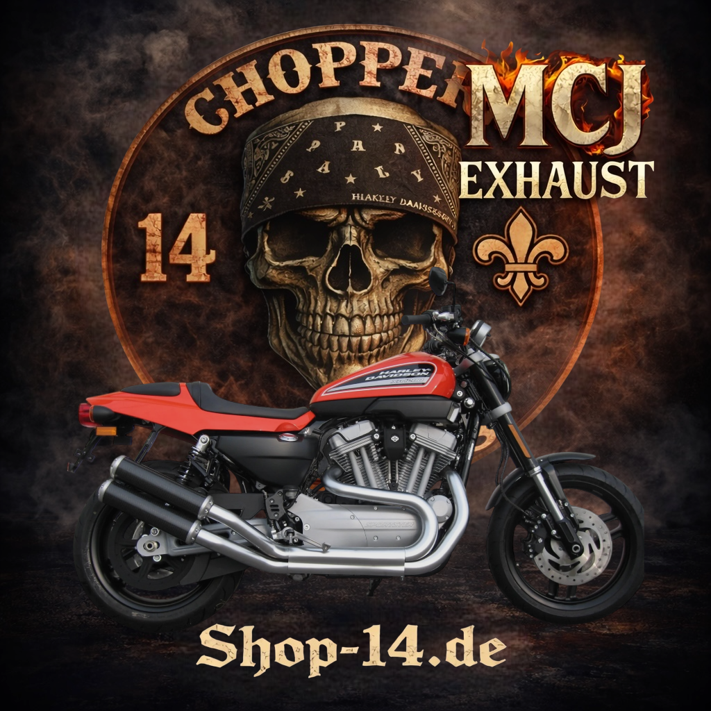 mcj_auspuff_-Sportster-XR1200_0-2