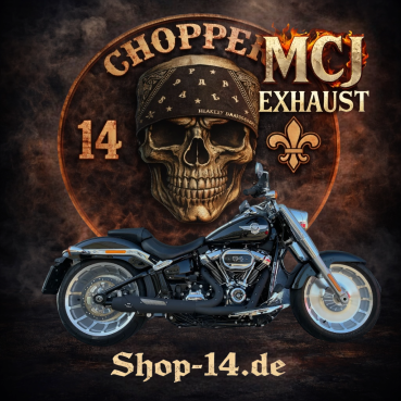 MCJ - 2 in 1 Short in Chrom oder Schwarz mit Krümmer - SPORTSTER 883-1200 BJ. 2004 bis 2013 AUSPUFFANLAGE HARLEY