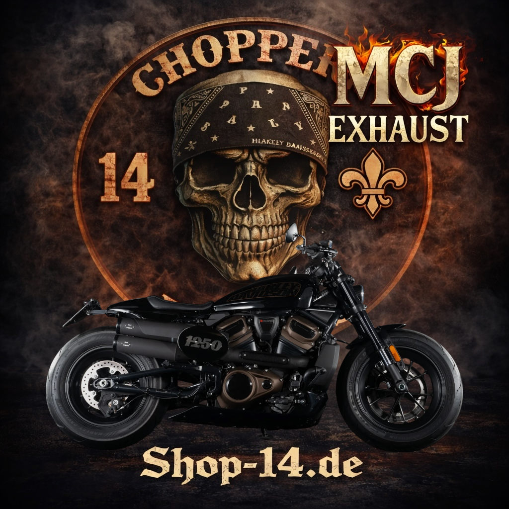 mcj_auspuff_2in2_kruemmer_sporster_s1250-2