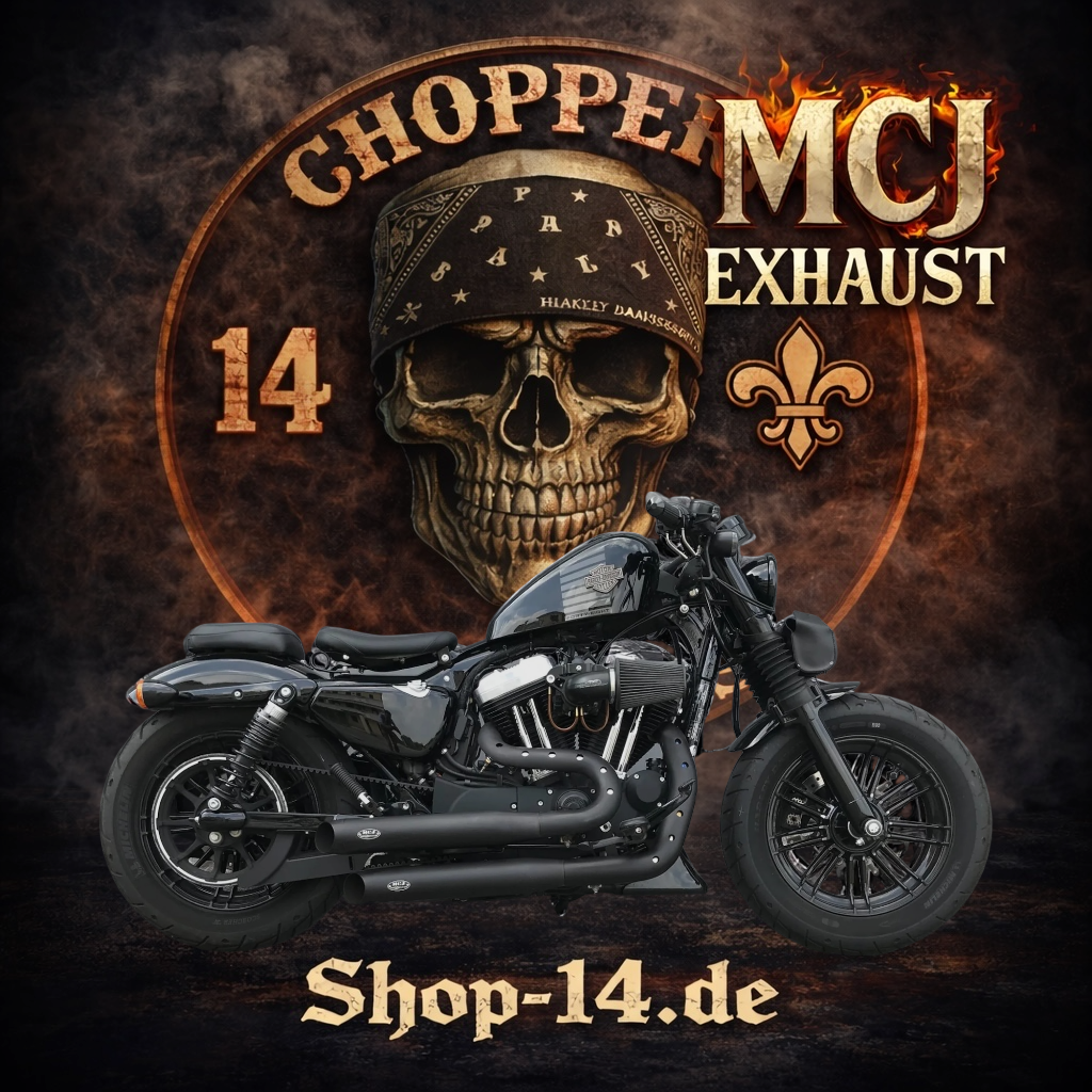 mcj_auspuff_2in2_royal_kruemmer_sporster_2-2