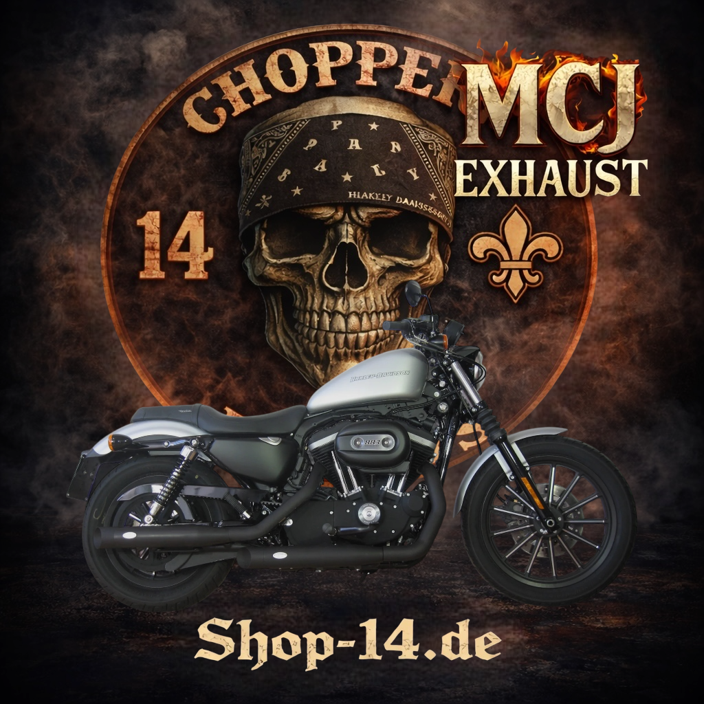 mcj_auspuff_2in_royal_sporster_0-2