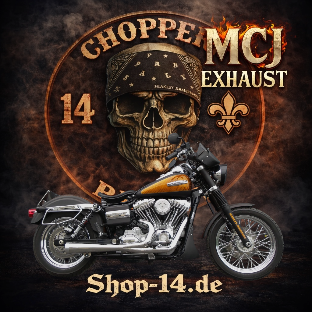 mcj_auspuff_dyna_2in1_megaphone_2-2