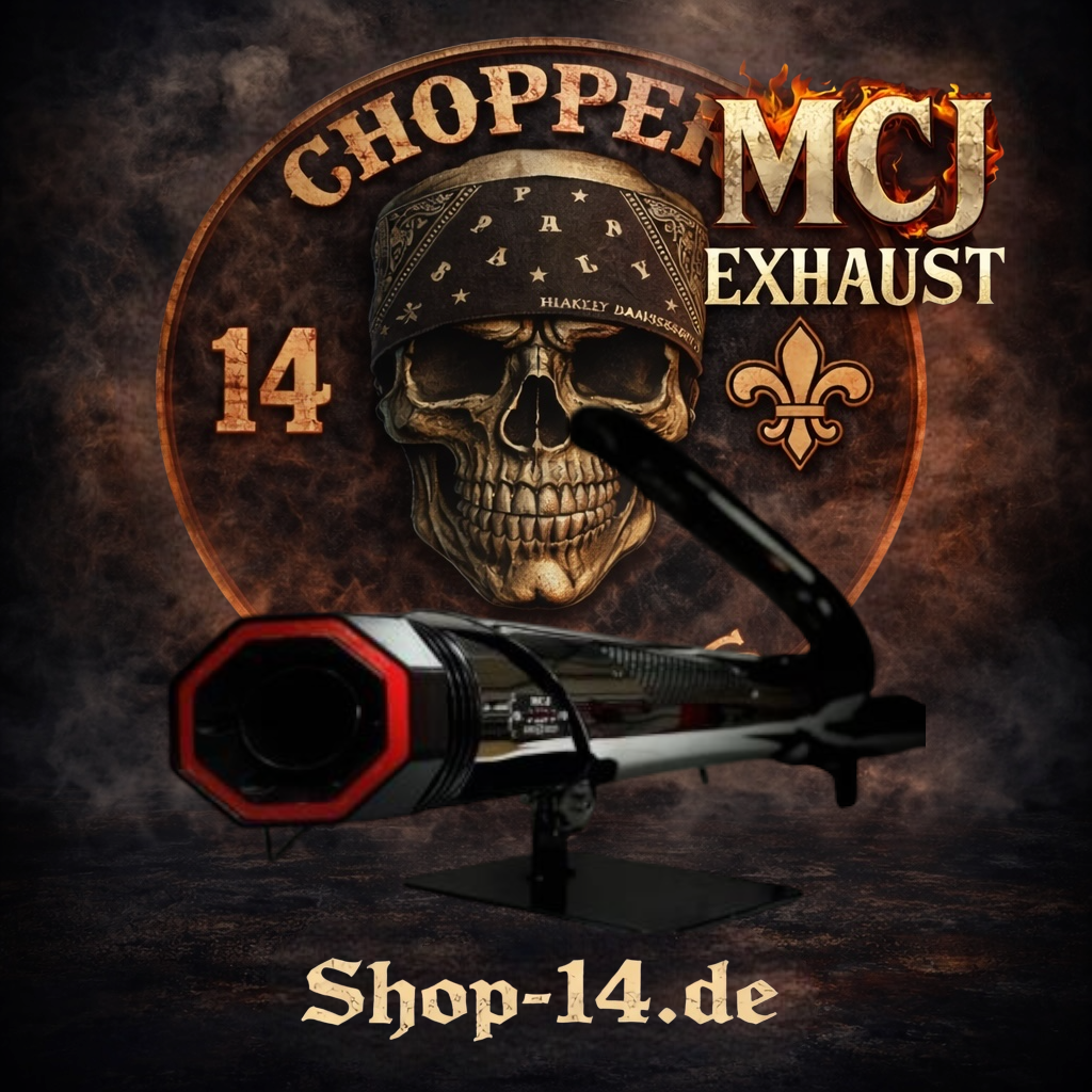 mcj_auspuff_dyna_2in1_nickel_0-2