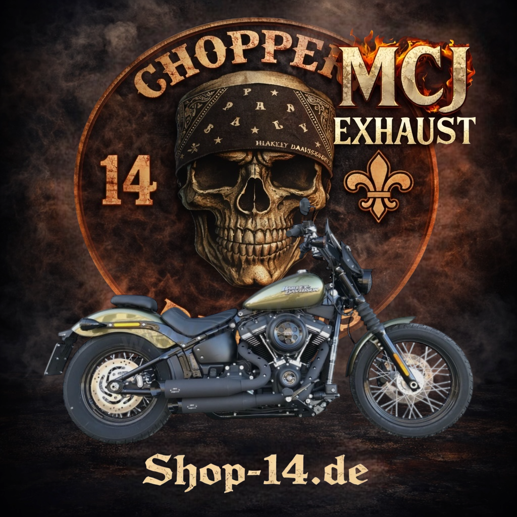 mcj_auspuff_dyna_2in2_big_short_0-2