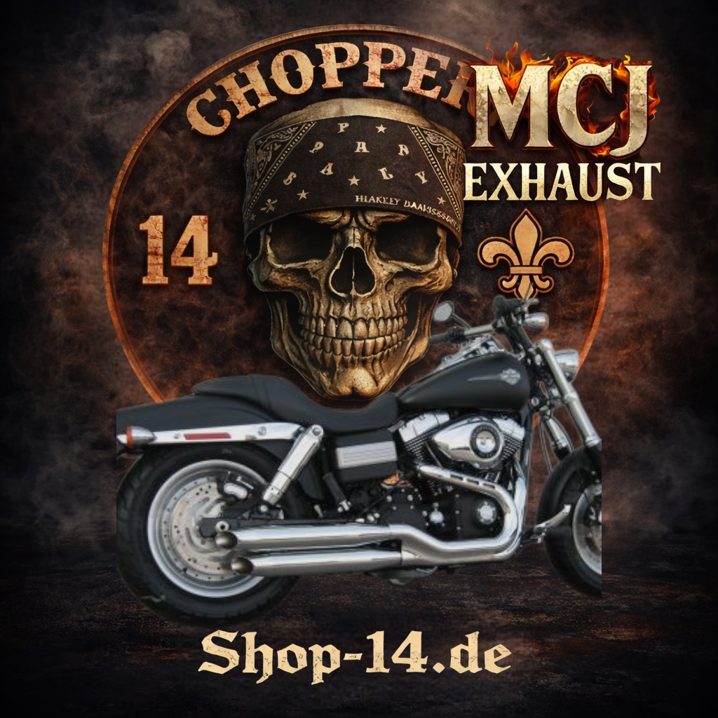 mcj_auspuff_dyna_2in2_royal_0-2