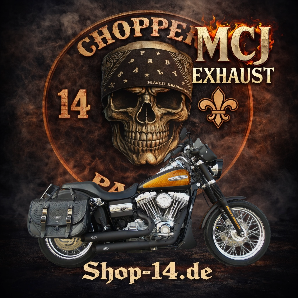 mcj_auspuff_dyna_2in2_royal_short-2