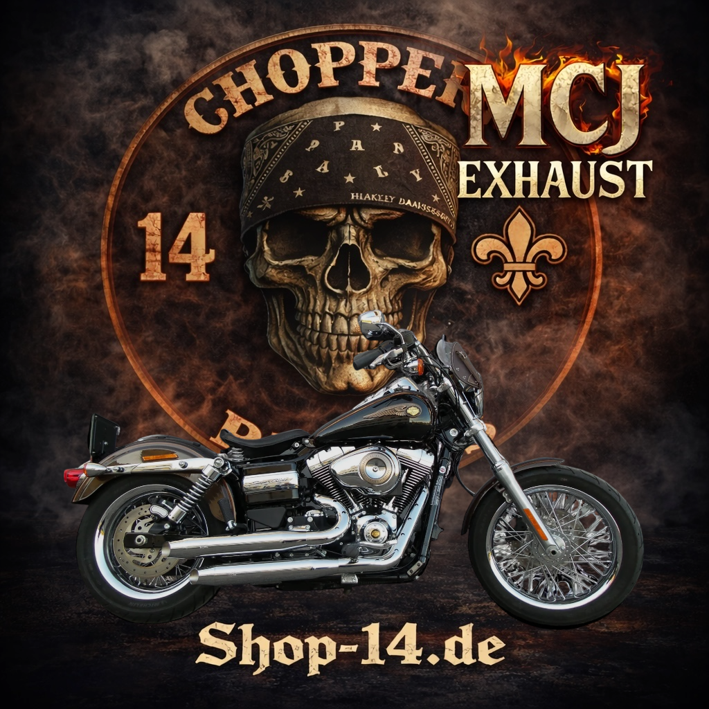mcj_auspuff_dyna_2in2_royal_short_chrom_1-2